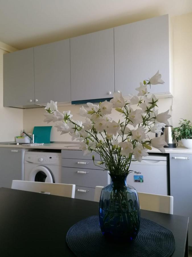 Apartment Anna Saldus ภายนอก รูปภาพ